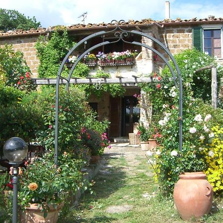 Le Querciolaie Monte Cavallo - Lower Apartment Saturnia Exteriér fotografie