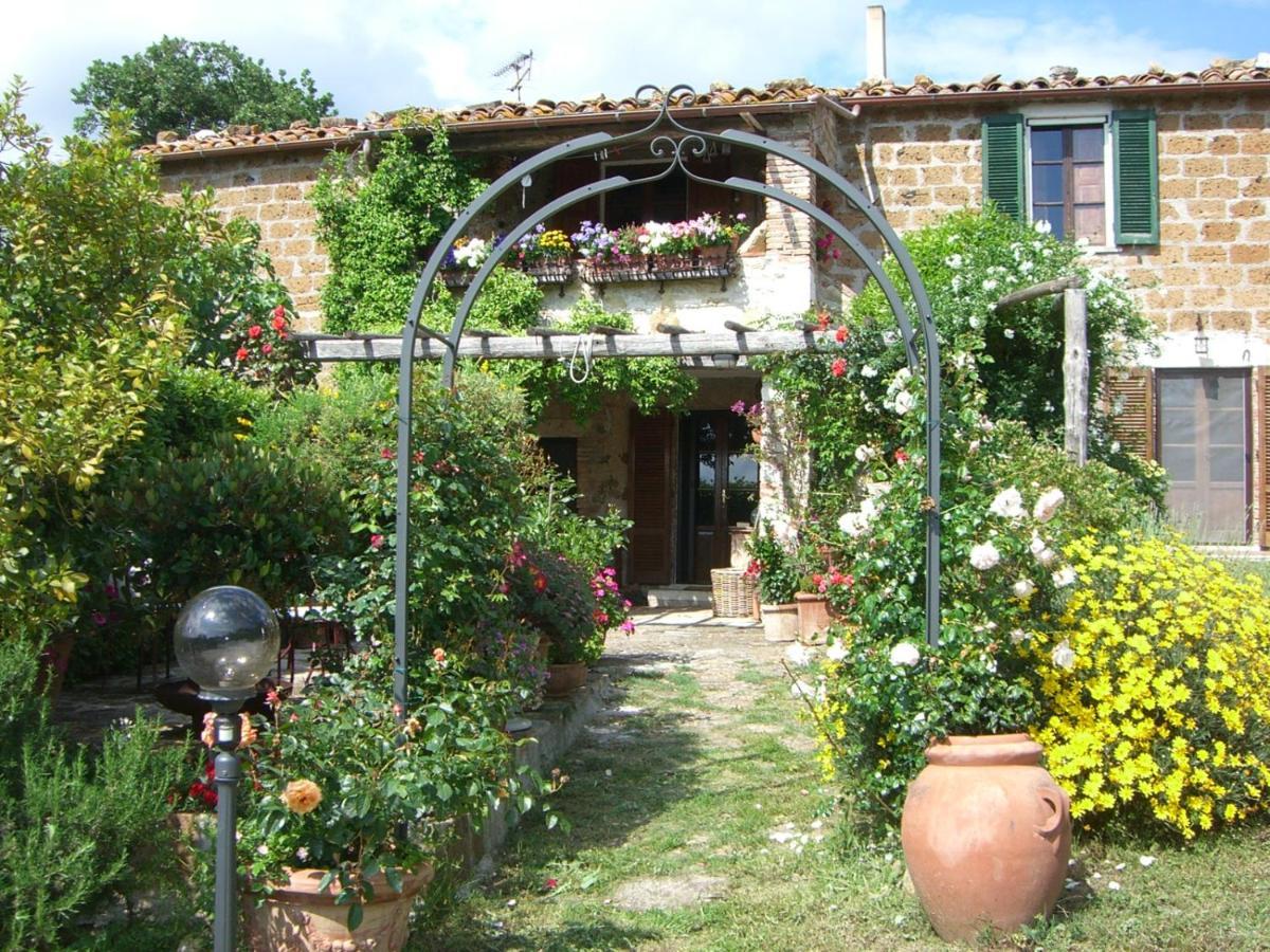 Le Querciolaie Monte Cavallo - Lower Apartment Saturnia Exteriér fotografie