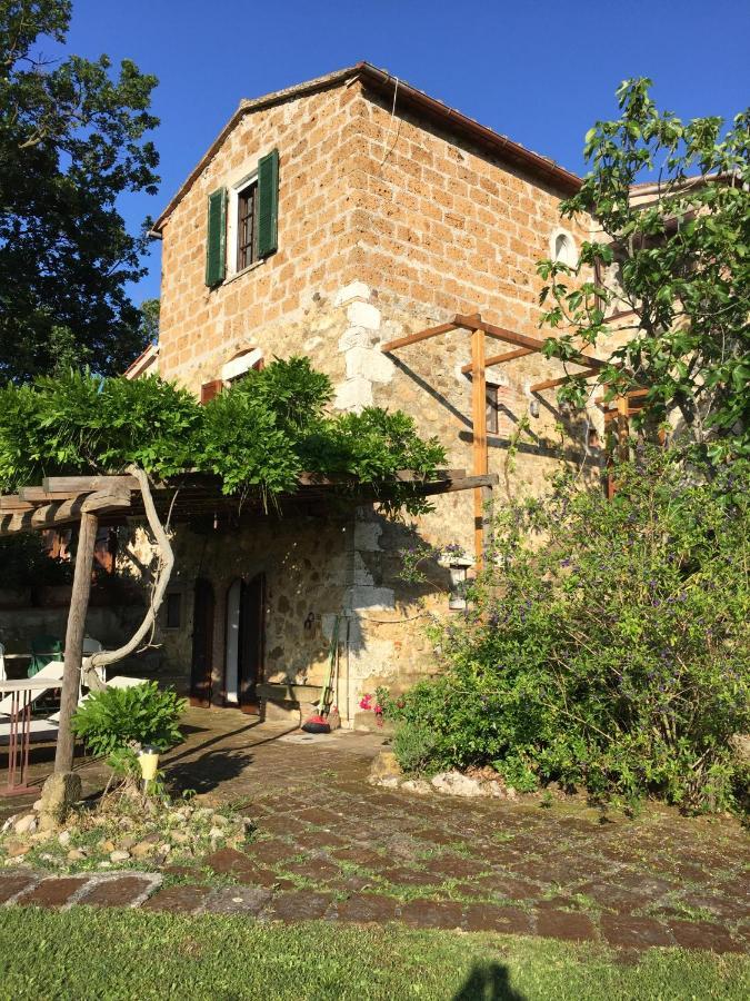 Le Querciolaie Monte Cavallo - Lower Apartment Saturnia Exteriér fotografie