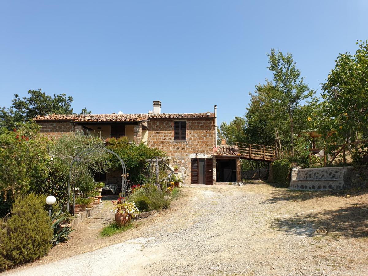 Le Querciolaie Monte Cavallo - Lower Apartment Saturnia Exteriér fotografie