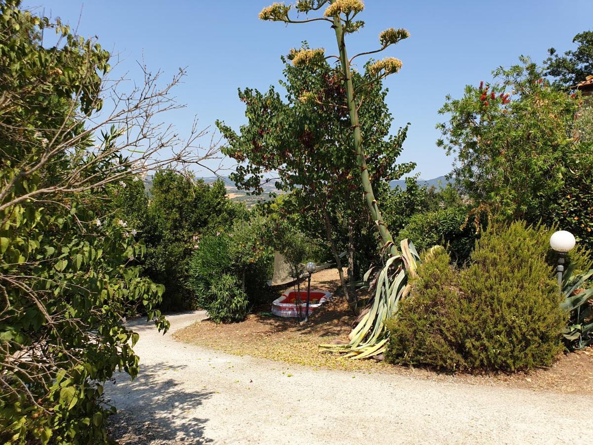 Le Querciolaie Monte Cavallo - Lower Apartment Saturnia Exteriér fotografie